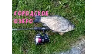 Мормышинг  на городском пруду.
