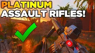 Platinum Assault Rifles Unlocked! (Road to Orion Camo Modern Warfare 2)