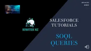 Salesforce - Writing SOQL queries