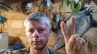 Утренний стрим