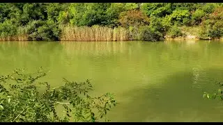 Beauty Of Nature ♡ Relaxing Music for Stress Relief