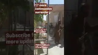 17 more Commandos surrendered to taliban in Lashkar Gah city in 𝗛𝗲𝗹𝗺𝗮𝗻𝗱 Province!! 