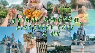 florida vlogs august 2024 | animal kingdom, trying raising canes, discovery cove & magic kingdom!🧚🏼✨
