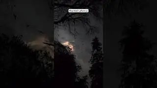Haunted weather👻. #colorgrading #sonya6400 #details #hailing #iphone #lahore