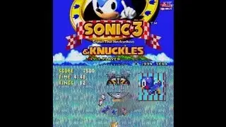 Sonic 3 & Knuckles - Mega Drive - 1994 - Flicky Appearances