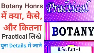 Botany practical Kaise Aur kitna likhe || Bsc 1st year Botany honours practical file kaise banayen