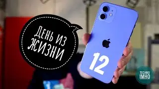 The iPhone 12 in real life