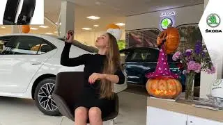 Аксессуары Шкода купить