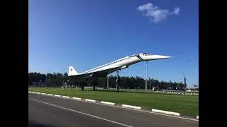 Энергетическая суставная зарядка с Аней и Принцем