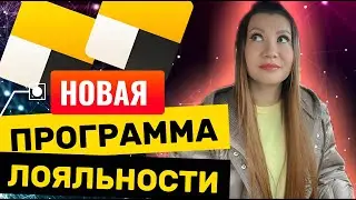 New loyalty program starting November 1: What will change for Yandex Taxi drivers?