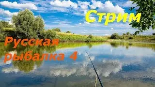 Русская рыбалка 4   Где прокачать поплавок?