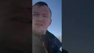 Ежедневные запуски форели