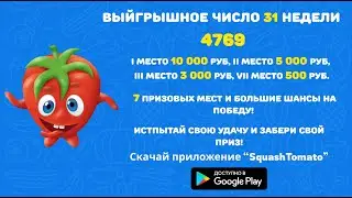 Squash Tomato  Запись розыгрыша 