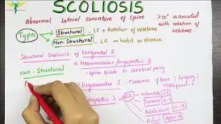 Scoliosis - Types | Medical Symptomatology