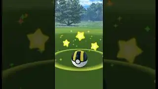 TOXICROAK catch Pokemon | POKEMON GO| #toxicroak #pokemon #pokemongo