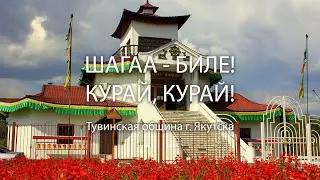 ШАГАА-БИЛЕ! КУРАЙ, КУРАЙ!