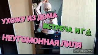 УХОЖУ ИЗ ДОМА! /НЕУГОМОННАЯ ЛИЛЯ! /ВСТРЕЧА Н Г🎄/МОЙ ЛУК😂! /