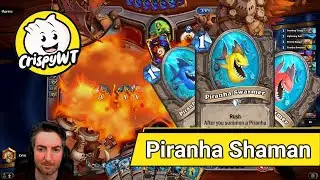 Hearthstone - Breaking the Meta with Piranha Shaman