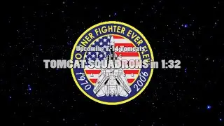 Tomcat Squadron upcoming build