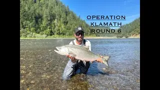 Operation Klamath Round 6