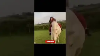 Shot on iPhone Meme #shorts  #viral  #shotoniphonememe
