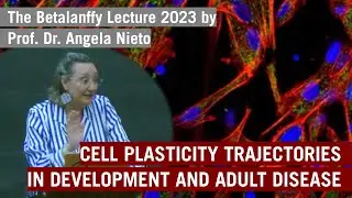 Cell plasticity trajectories in development and adult disease - Angela Nieto | Bertalanffy Lecture