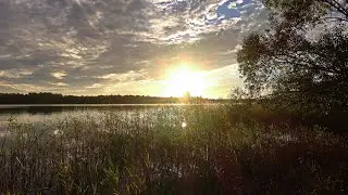 Земля нашей любви