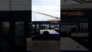 Троллейбус ВМЗ-5298.01 "Авангард" по 38 Маршруту @SanktPetersburg22