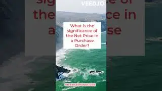 #19  What is the significance of the Net Price in a Purchase Order?