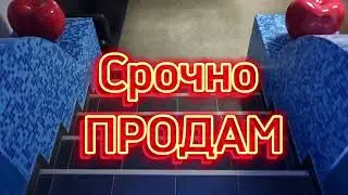 Необычное предложение: Как это помещение может преобразить ваш бизнес?