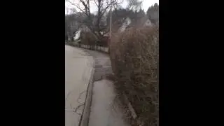 Yamaha R6 Sound