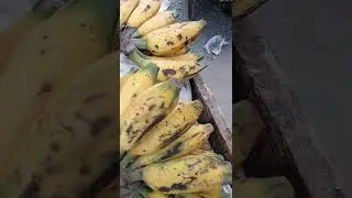 Banana Is Ready For Eat
