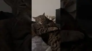Cleanup service 