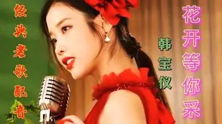 甜歌皇后韩宝仪演唱《花开等你采》，经典老歌，旋律优美百听不厌【星河入梦】