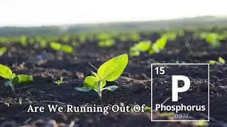 Are We Running Out Of Phosphorus?
