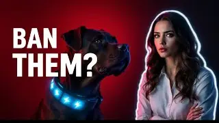 Should Dog Shock Collars Be Banned?