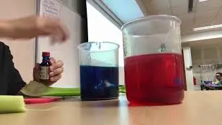 The Plant System