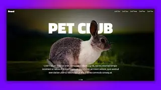 Zoom Fade Slider - Parallax carousel - Parallax slider - Made using HTML, CSS , jQuery and Splide.js