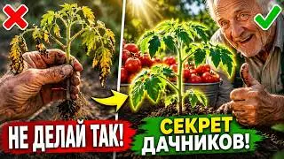 Old-time gardeners always do this in May: You'll be harvesting by the bucketful! Remember these r...