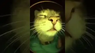 какого цвета у тебя трусы?
