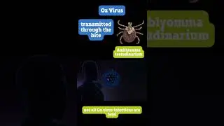 The Oz Virus - A Tick-Borne Infection Unveiled!