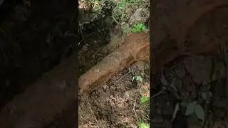 Копаем чермет.