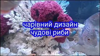 Обминяв Акар на Деякі Речі Для Нового Акваріуму