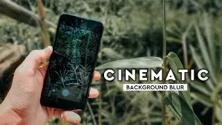 How to Shoot Cinematic Videos with Blurred Backgrounds Using a Cellphone