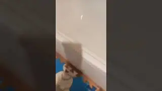 1 ноября 2023 г.