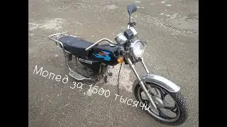 Купил мопед Альфа за 1500 тысячи рублей!