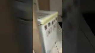 Finding the elf