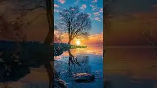 Flashback Juan Luíz Guerra 🎤 Romance Rosa Legendado via @VemCurtir #vemcurtir #music