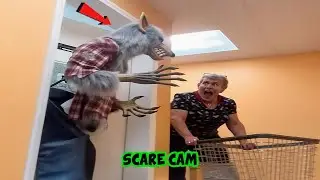 BEST SCARE CAM Priceless Reactions 2025😈#214 | Funny Scare Cam 🤣| Jump Scare 😂| CoCo Scare Cam |