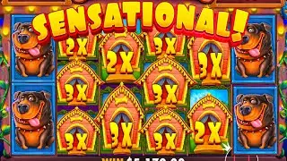 MAX WIN THE DOG HOUS ! CASINO ONLINE! Занос недели #bigwin #casino #buster #crazytime